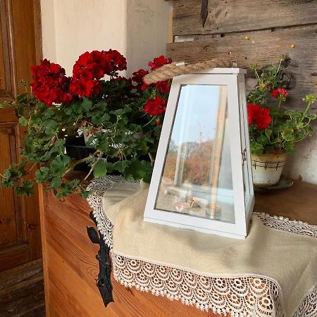 Hotel Balta Maja Pilsrundāle Zewnętrze zdjęcie