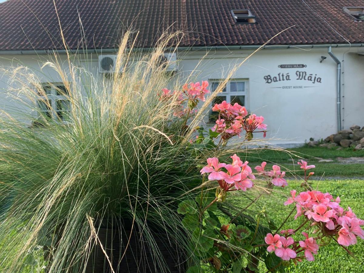 Hotel Balta Maja Pilsrundāle Zewnętrze zdjęcie